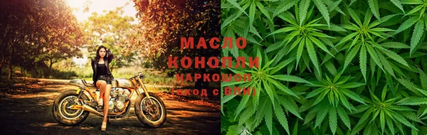 крисы Михайловск